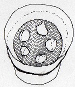 planting-guide-drawing.jpg planting-guide-drawing.jpg