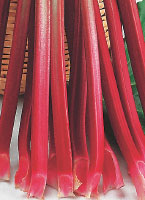 rhubarb-c.jpg